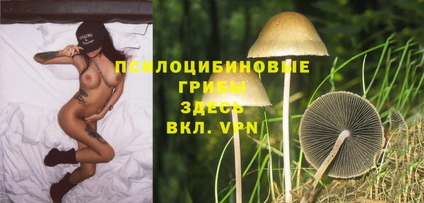 МДПВ Абдулино